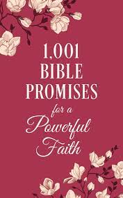 1001 BIBLE PROMISES FOR A POWERFUL FAITH