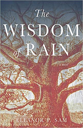 The Wisdom of Rain Paperback
