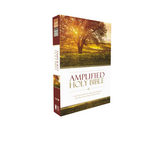AMPLIFIED HOLY BIBLE